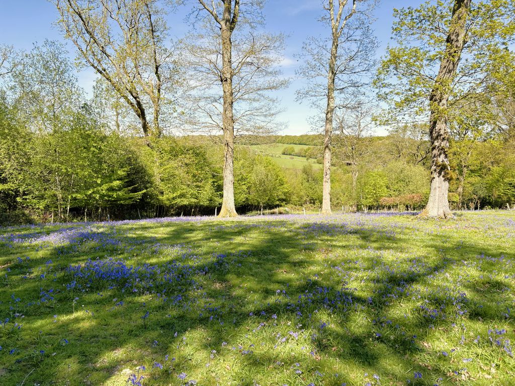 Additional image 22 of 5 bed detached house for saleSheepstreet Lane, Etchingham, East Sussex TN19