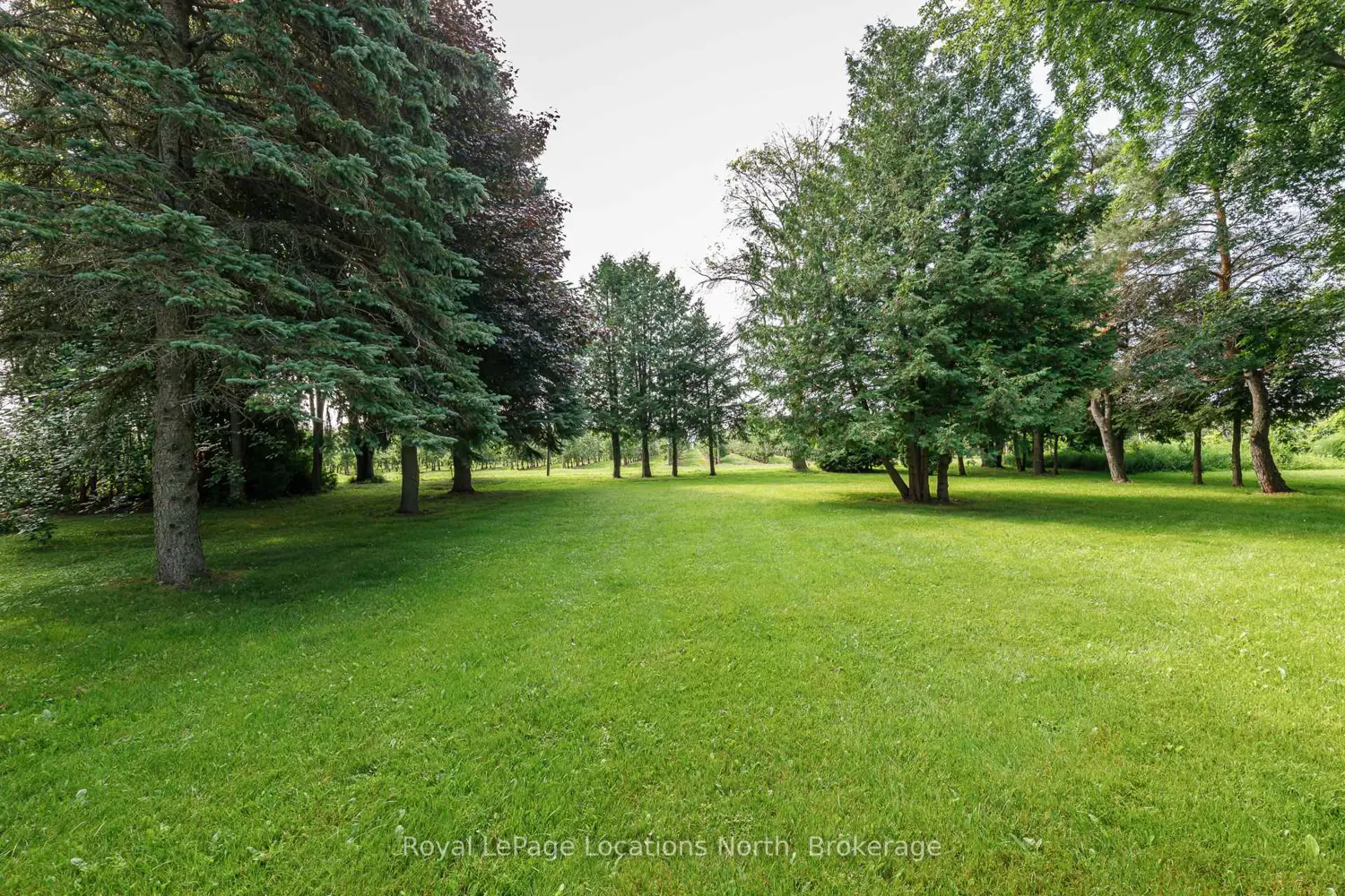 Additional image 6 of 132 Matilda Street