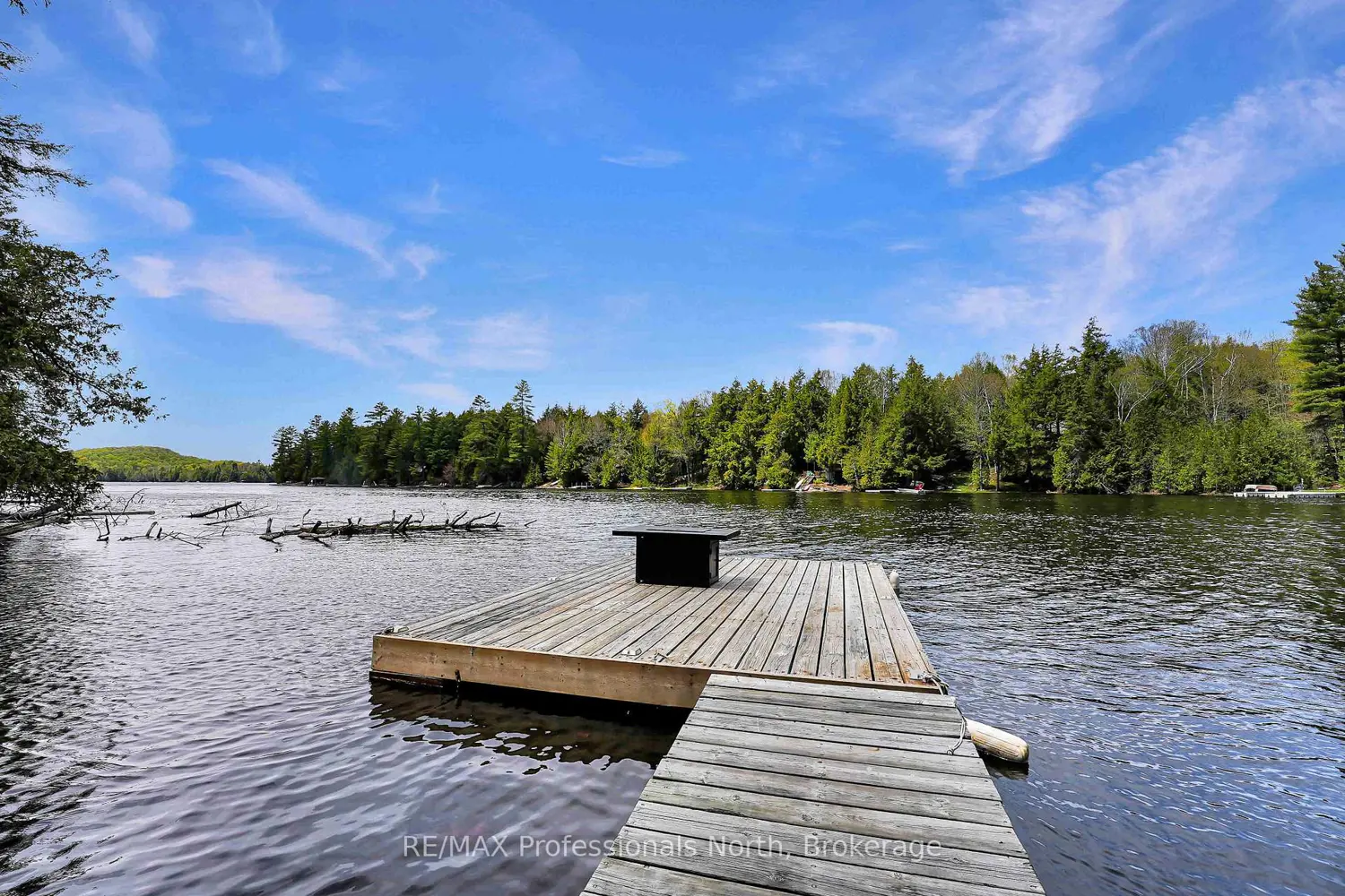 Additional image 16 of 1514 Little Straggle Lake Drive