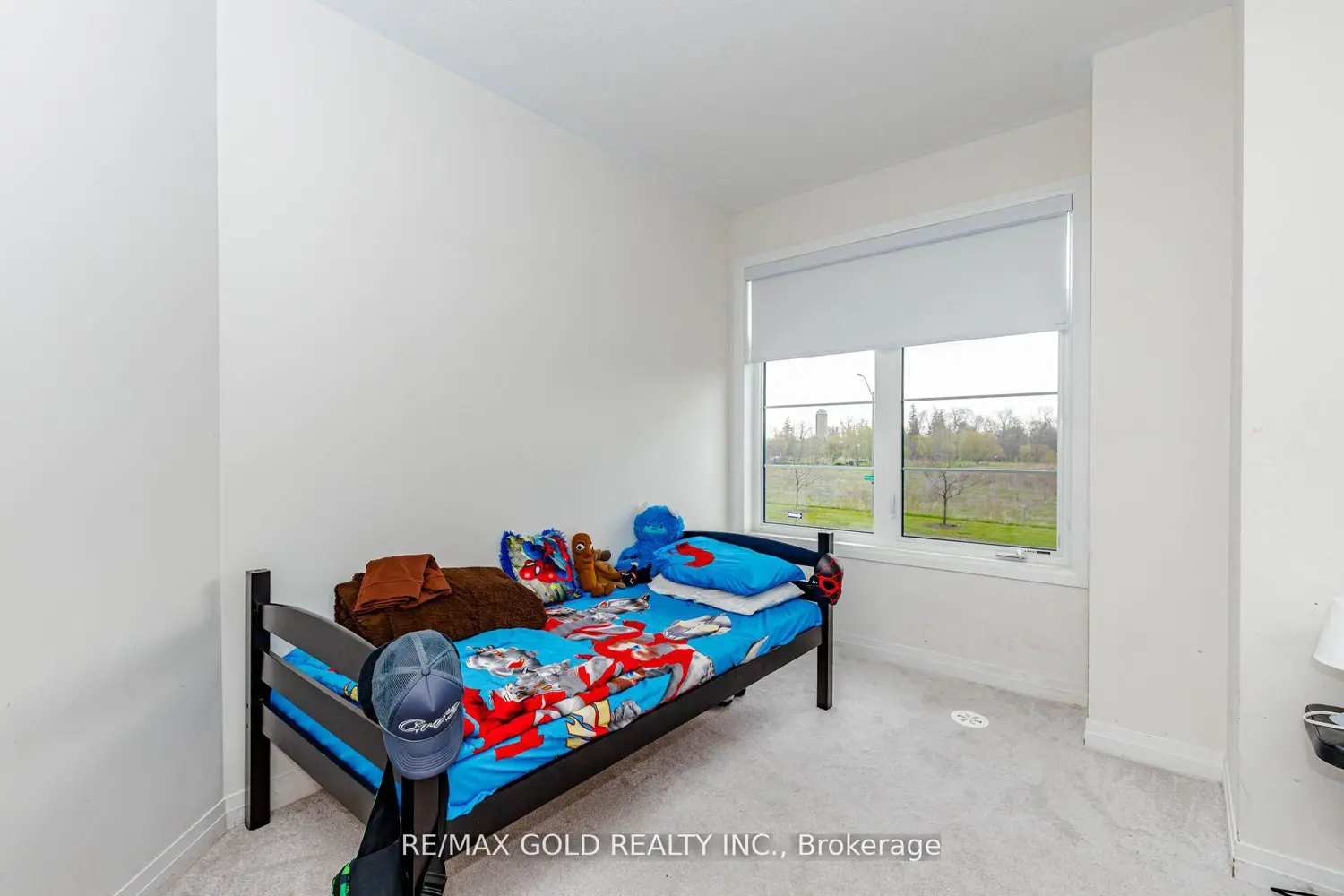 Additional image 17 of 111 Carneros Way