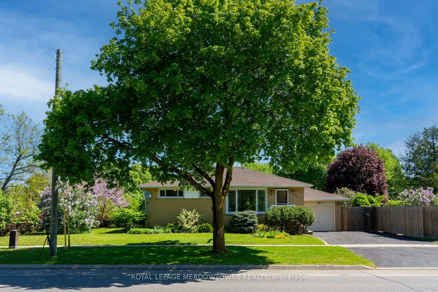 177 Delrex Boulevard photo 3