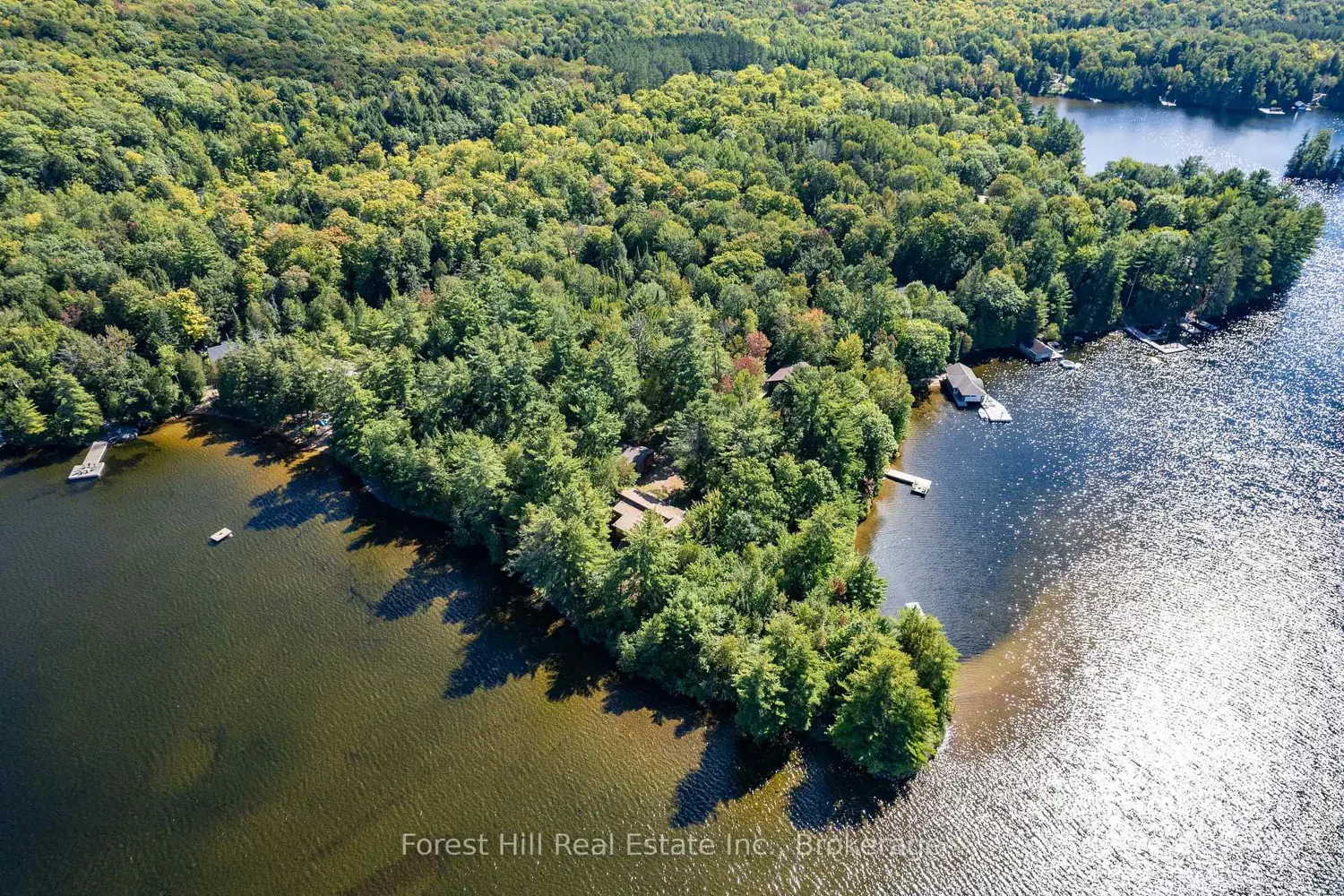 Additional image 3 of 2991 Muskoka Rd 117 Road 2