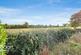 Additional image 15 of The Limes, Ashill