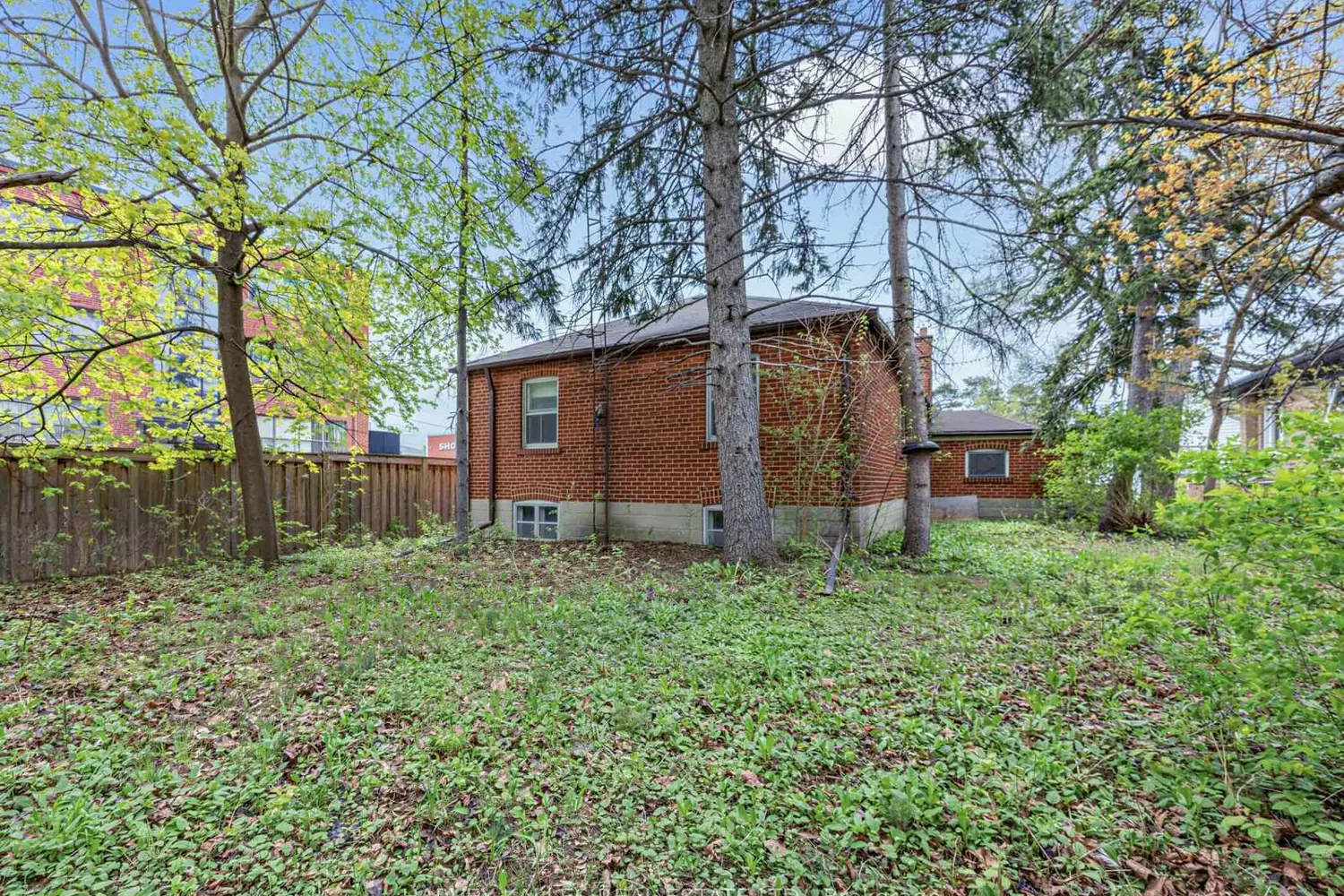 Additional image 19 of 12 Invermay Avenue