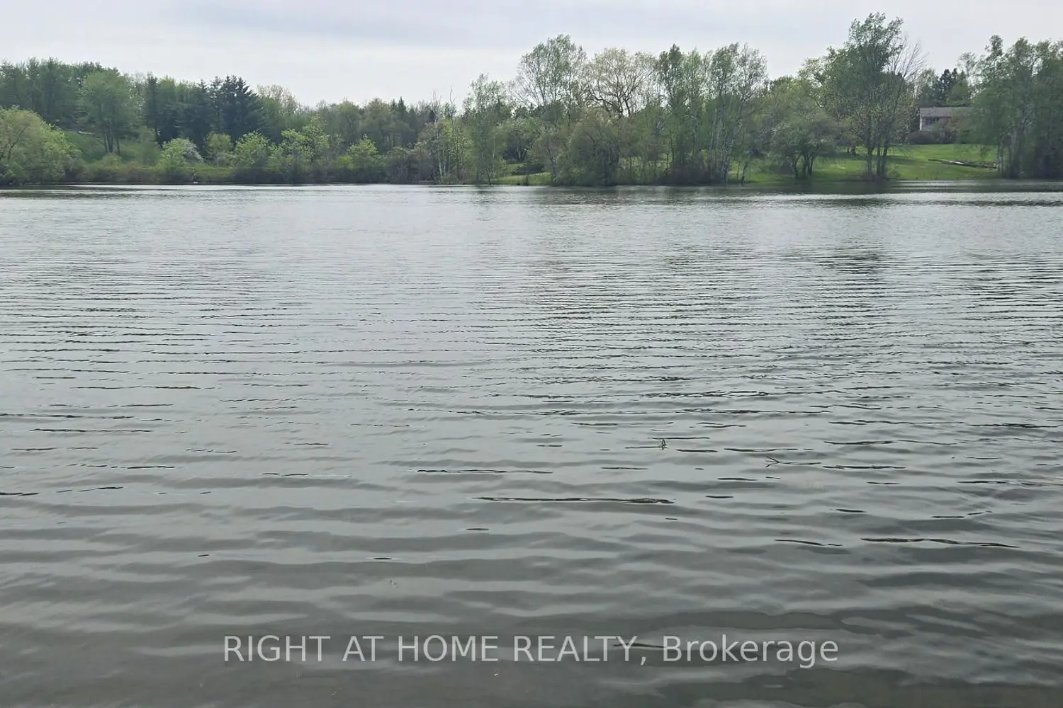 16140 Mount Hope Road photo 2