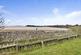 St. Peters Road, Duffus, Elgin photo 4