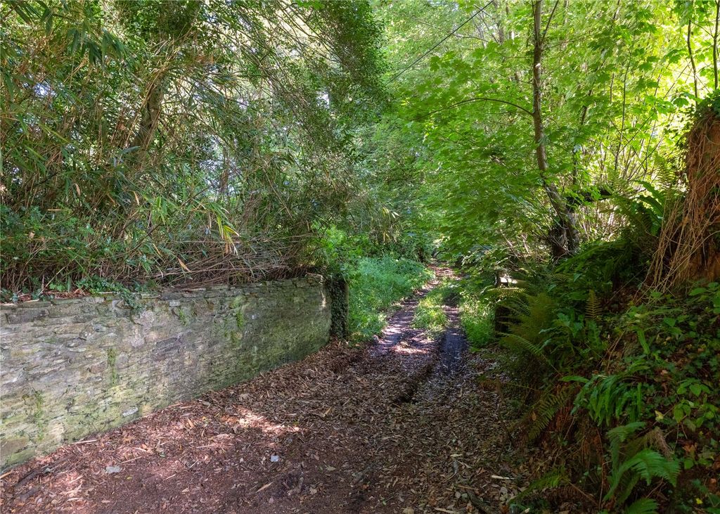 Land for saleSt. Martin, Looe, Cornwall PL13 photo 4