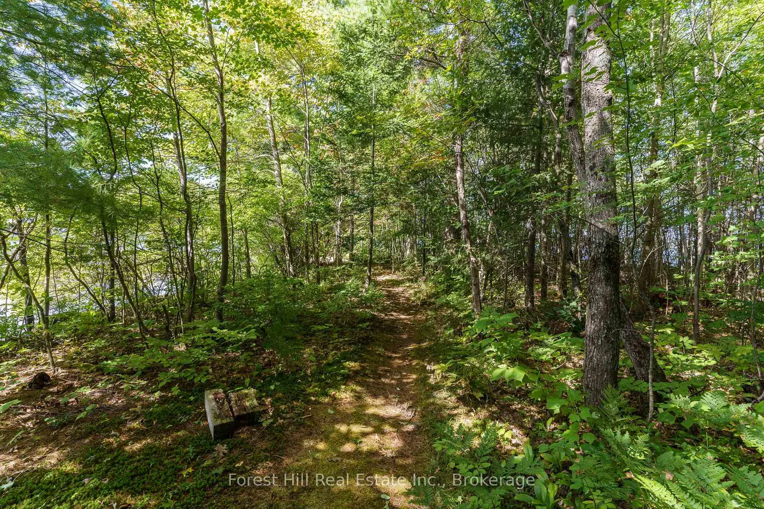 Additional image 10 of 2991 Muskoka Rd 117 Road 2