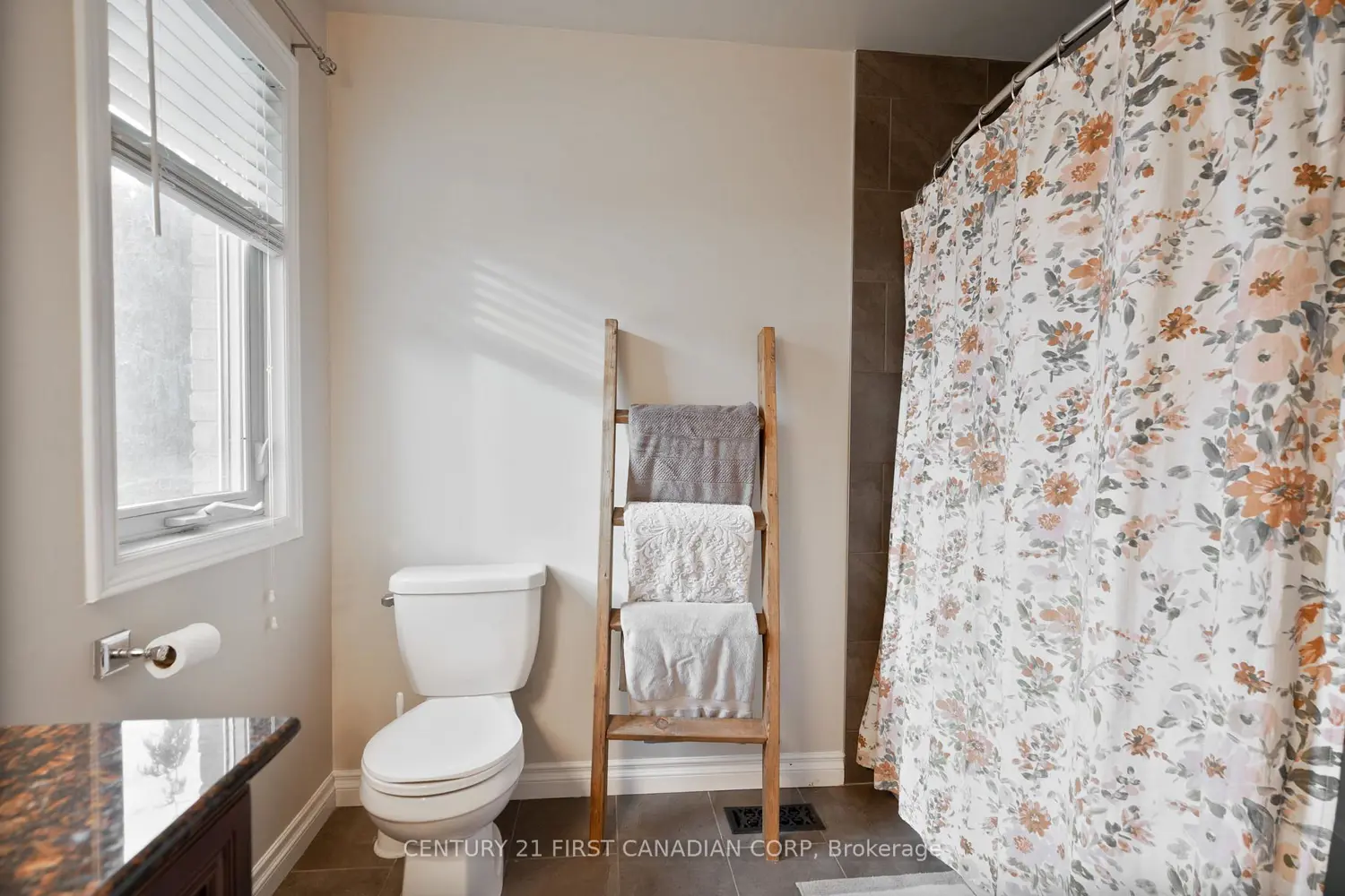 17 Allison Court photo 3