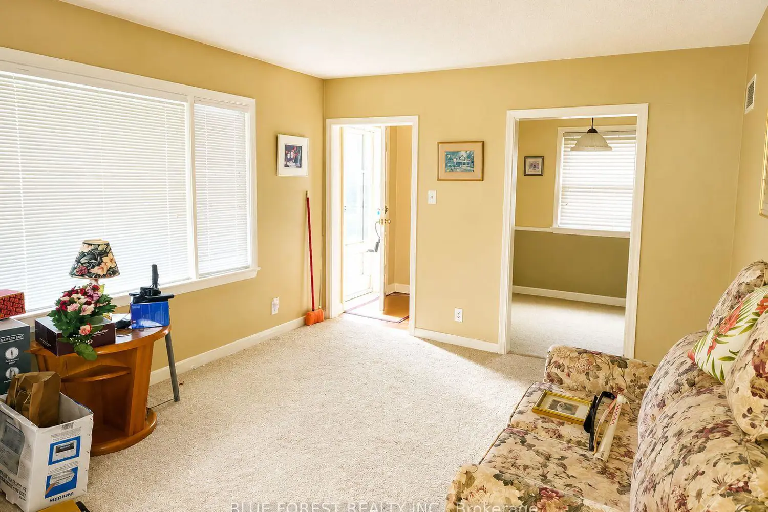 223 Winnipeg Street photo 2