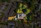 Additional image 54 of Vicarage Lane, Dore, Sheffield
