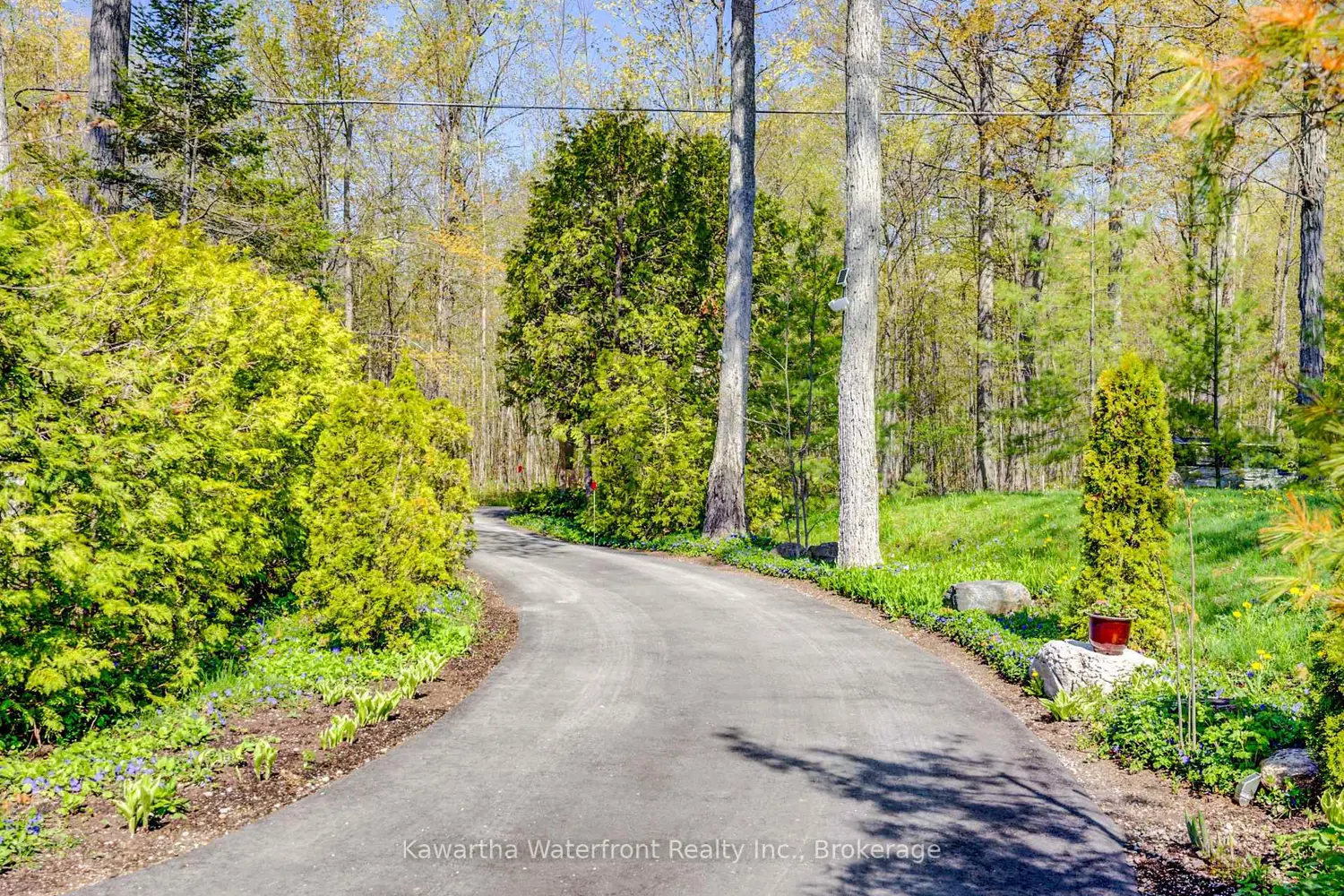 Additional image 19 of 48 Maple Avenue