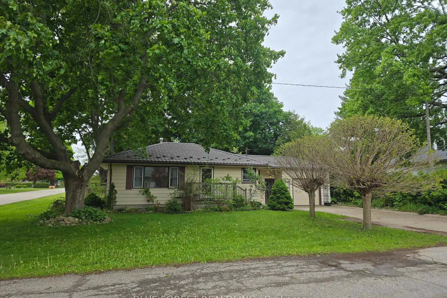 234 Flora Street
