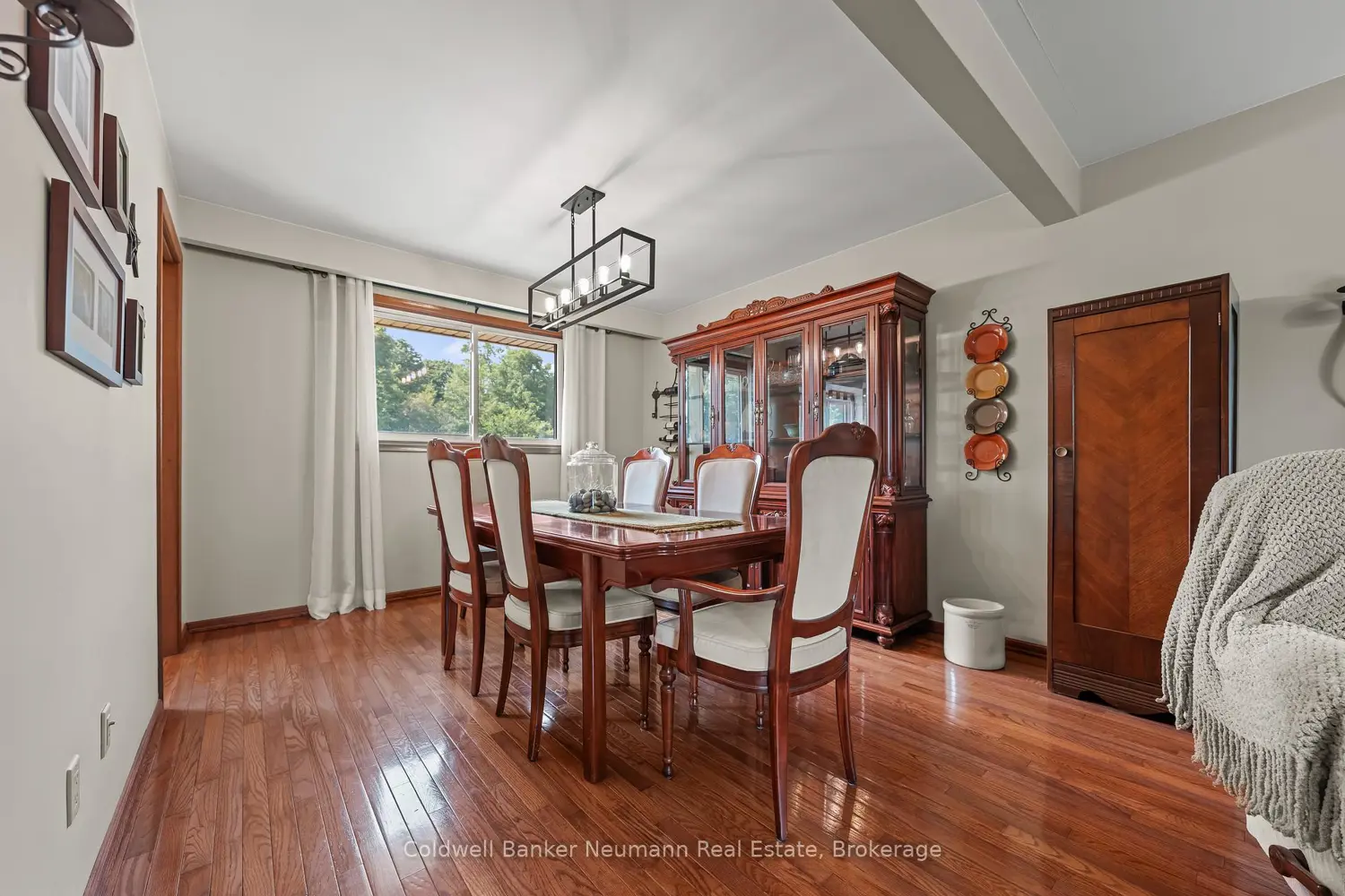 61 Bellevue Street photo 5