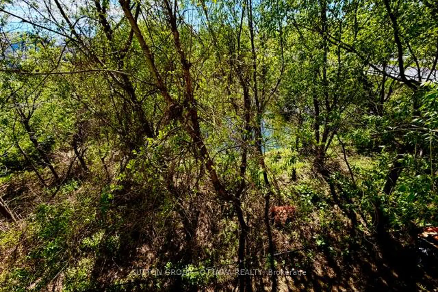 115 Tall Pines Private photo 5