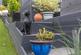 Additional image 34 of St. Martins Gate, Coatbridge ML5