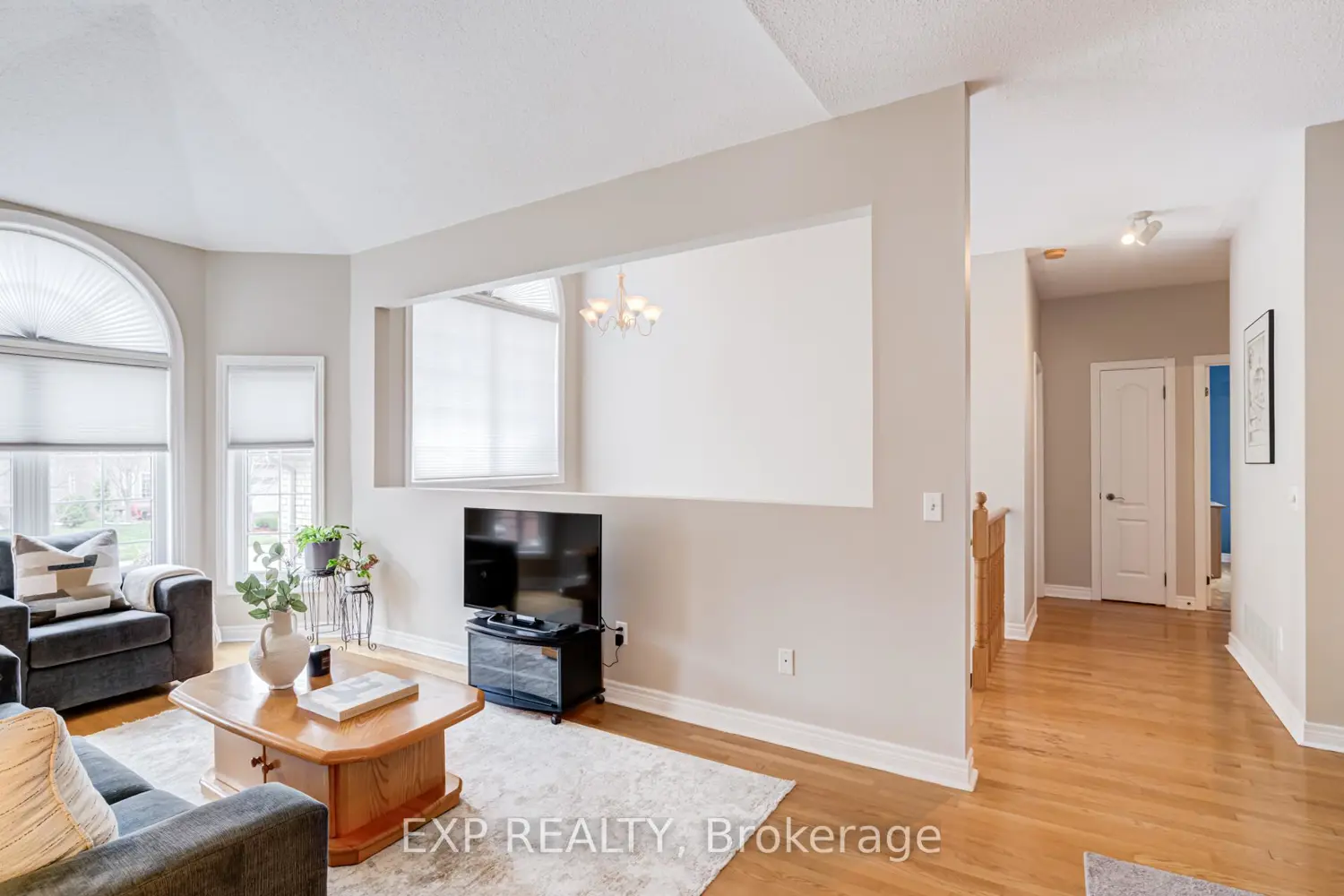 13 Blueberry Hill Court photo 4