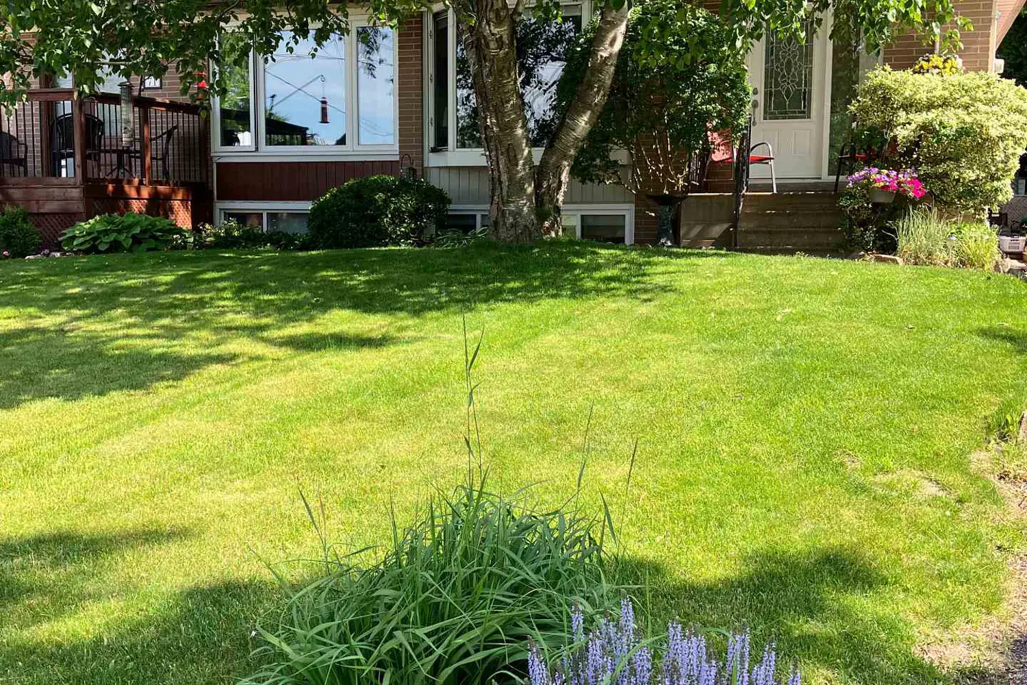 Additional image 18 of 69 Lindsay Avenue