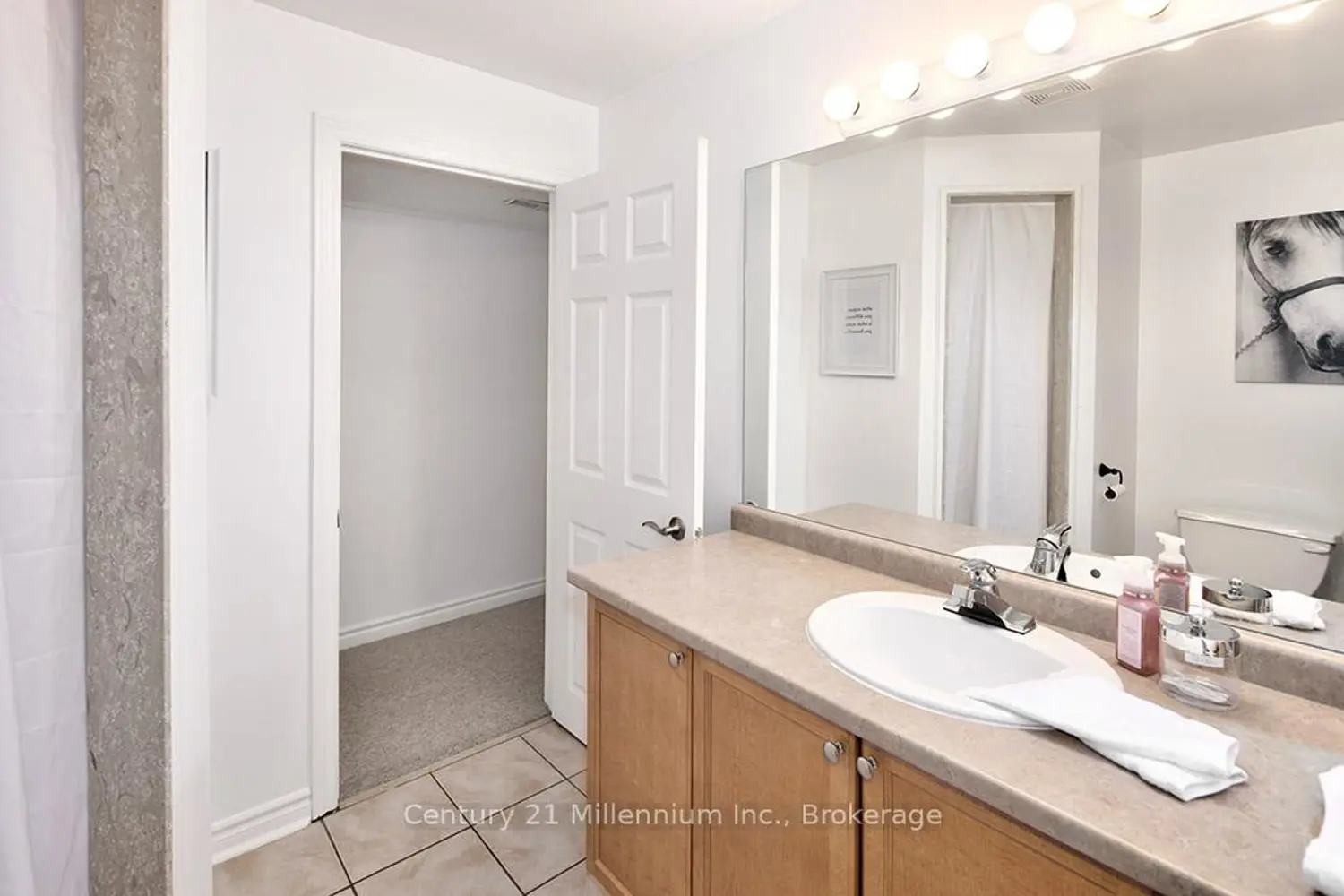 Additional image 20 of 110 Napier Street 28