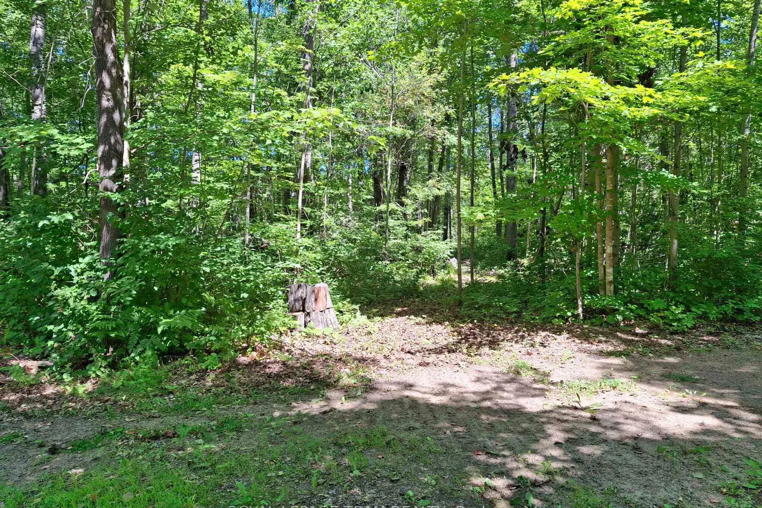 112 Golfers Lane photo 3