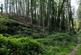Additional image 11 of Roadwater, Watchet TA23
