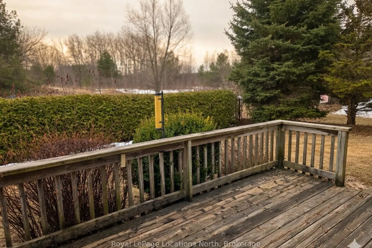 275 Huron Street 23 photo 4