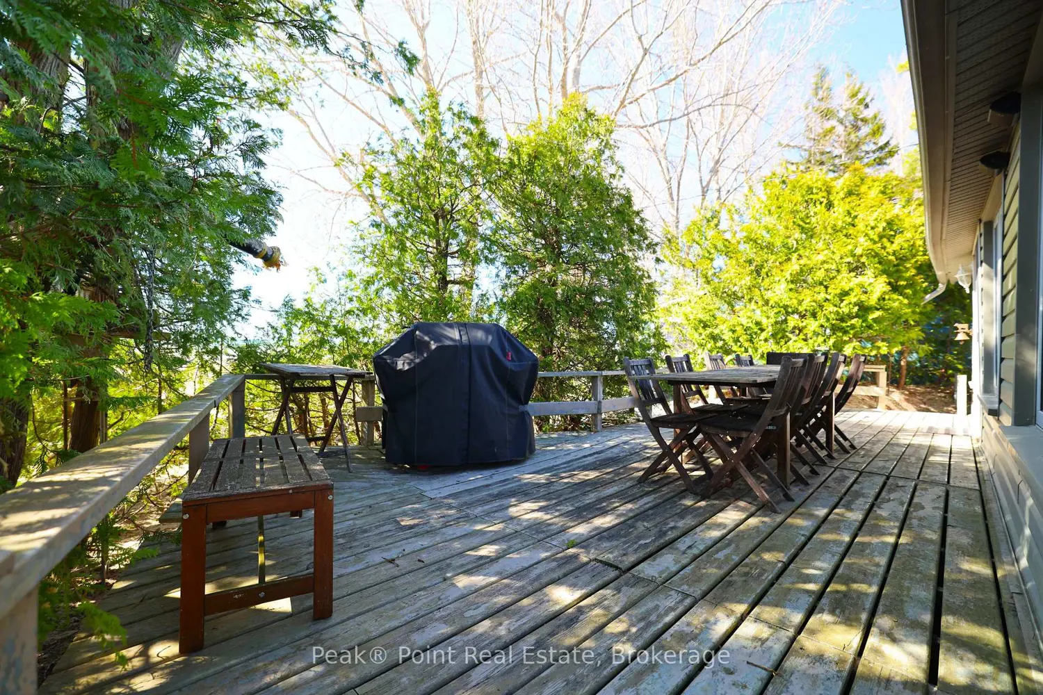 19 1St Avenue photo 3