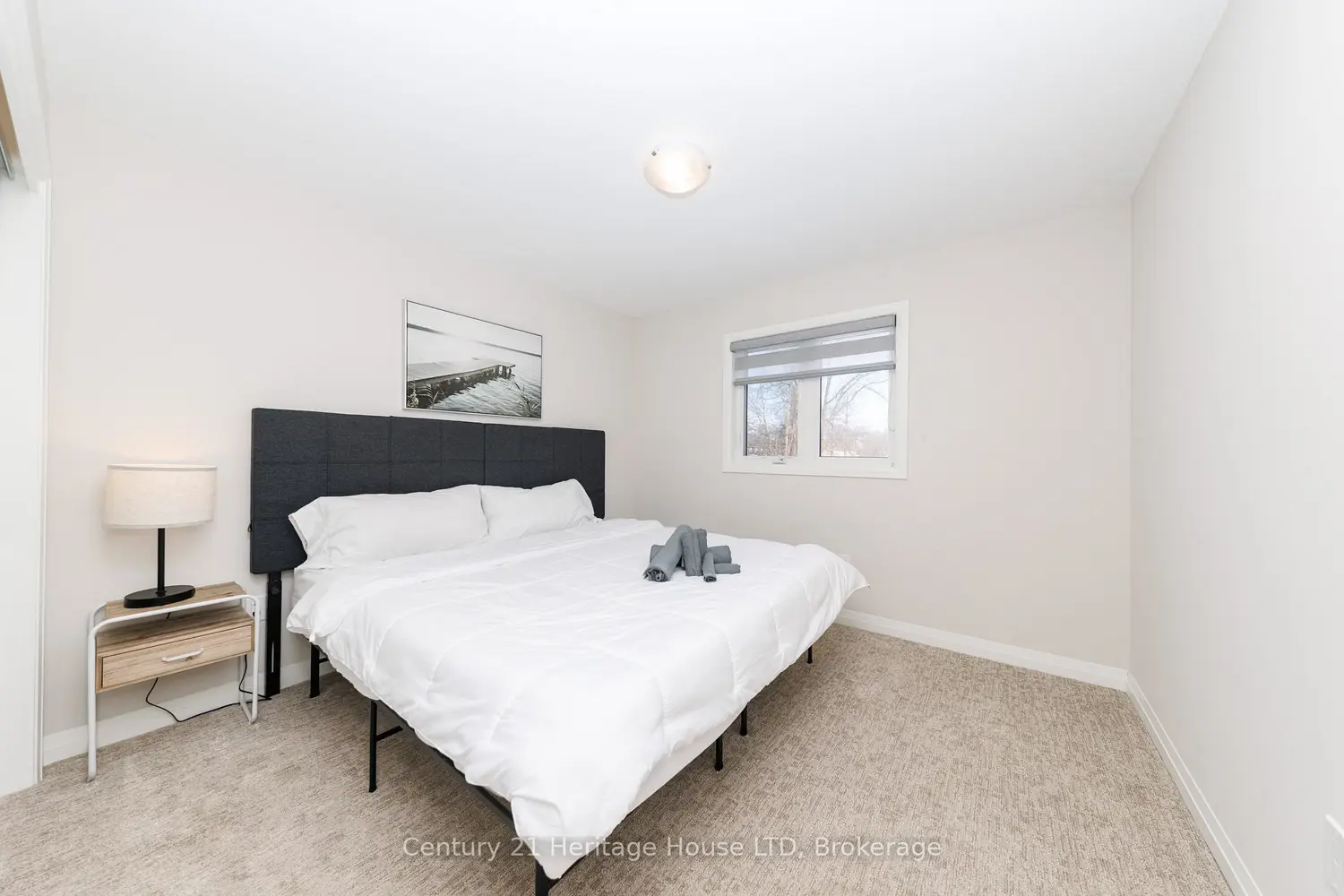5 Wilson Drive photo 5