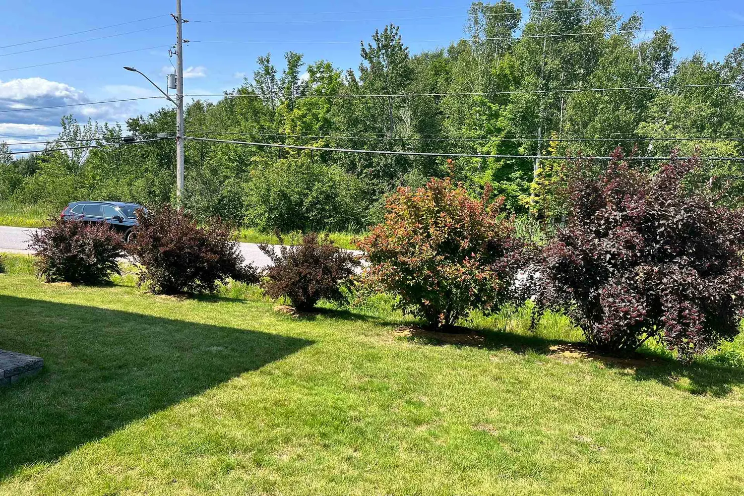 Additional image 8 of 5 Sugarbush Street