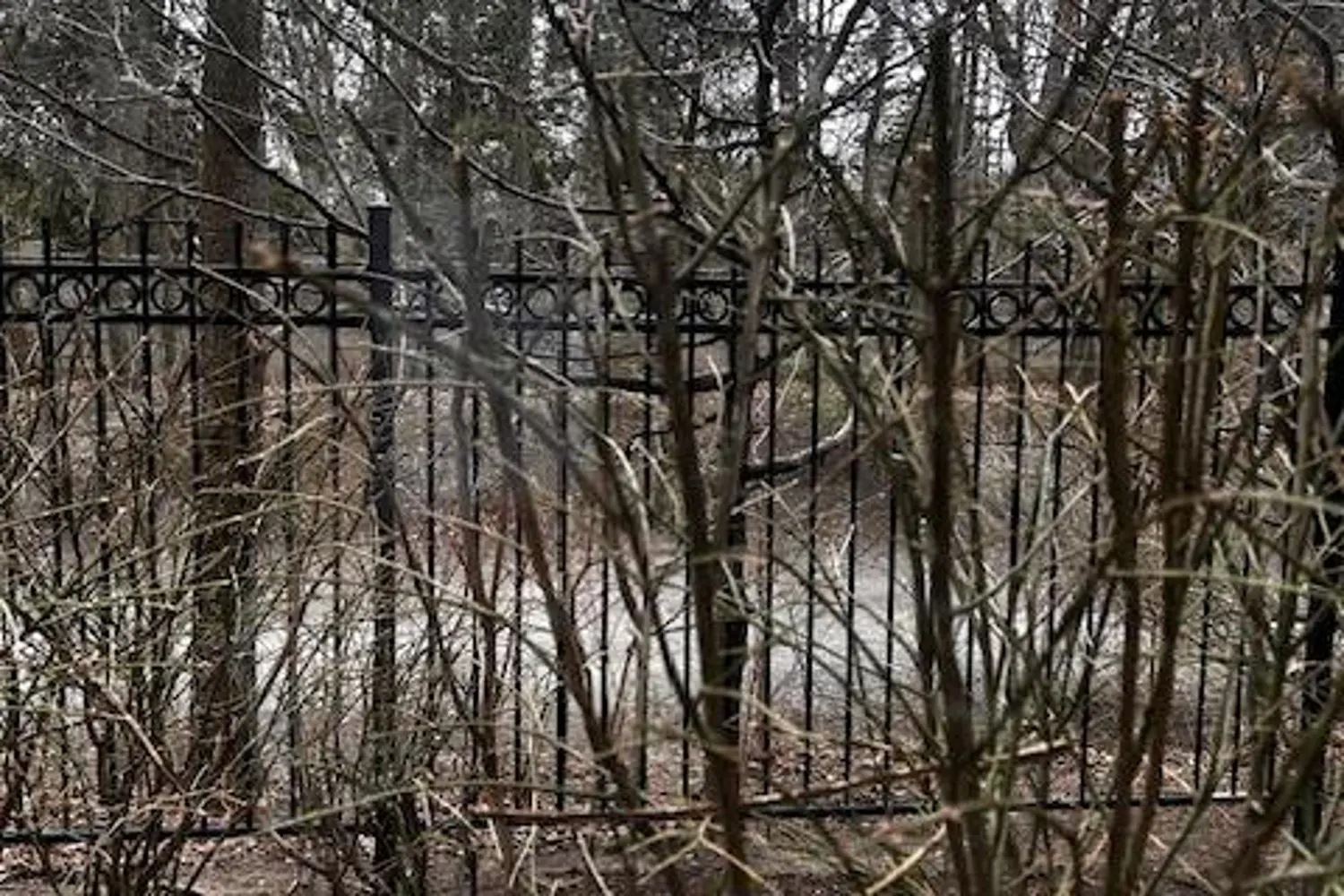 Additional image 12 of 195 Merton Street 212
