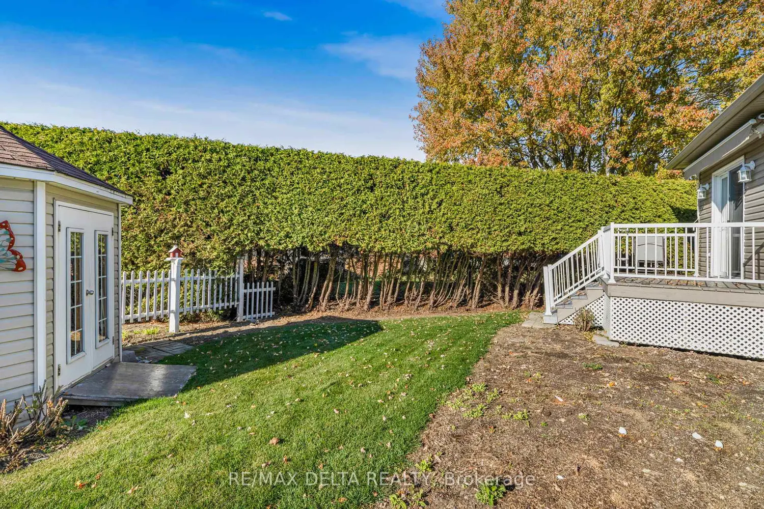 131 Caledonia Road photo 4