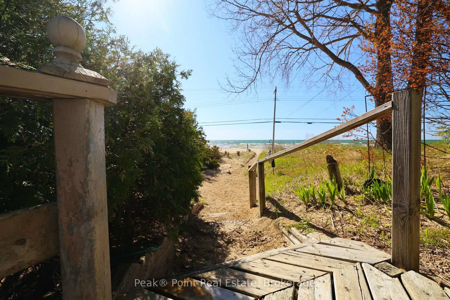 19 1St Avenue photo 4