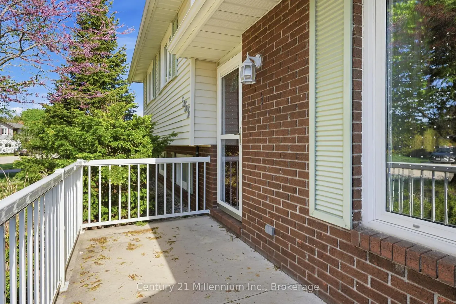 553 Scott Street photo 3