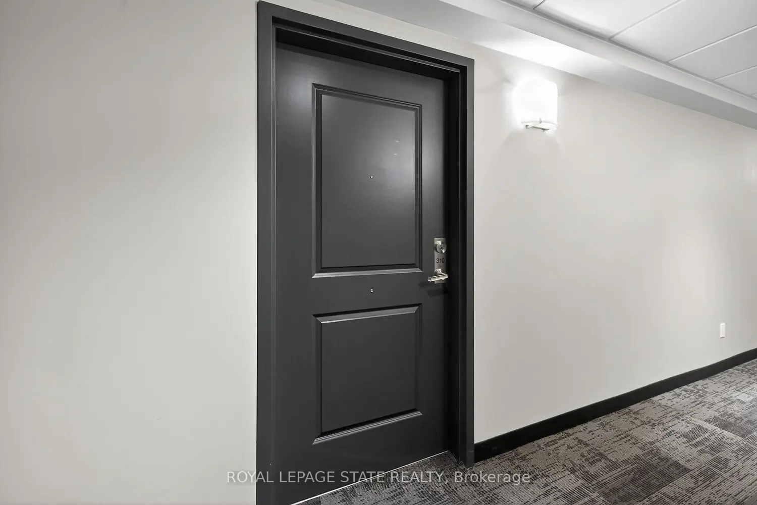 153 Wilson Street 310 photo 3