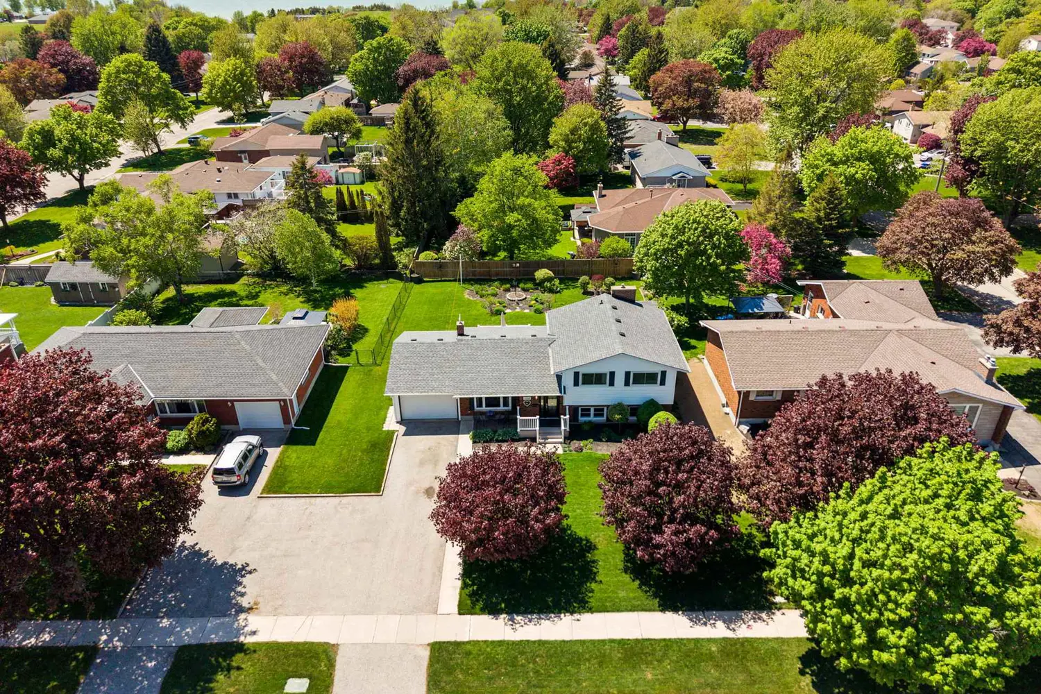 Additional image 18 of 308 Eldon Street