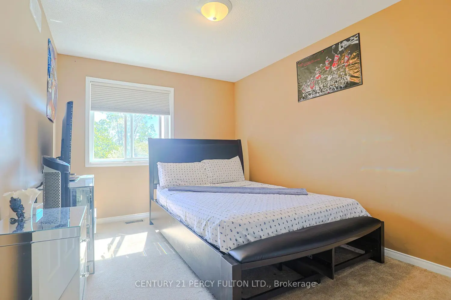 116 Dahlia Street photo 5