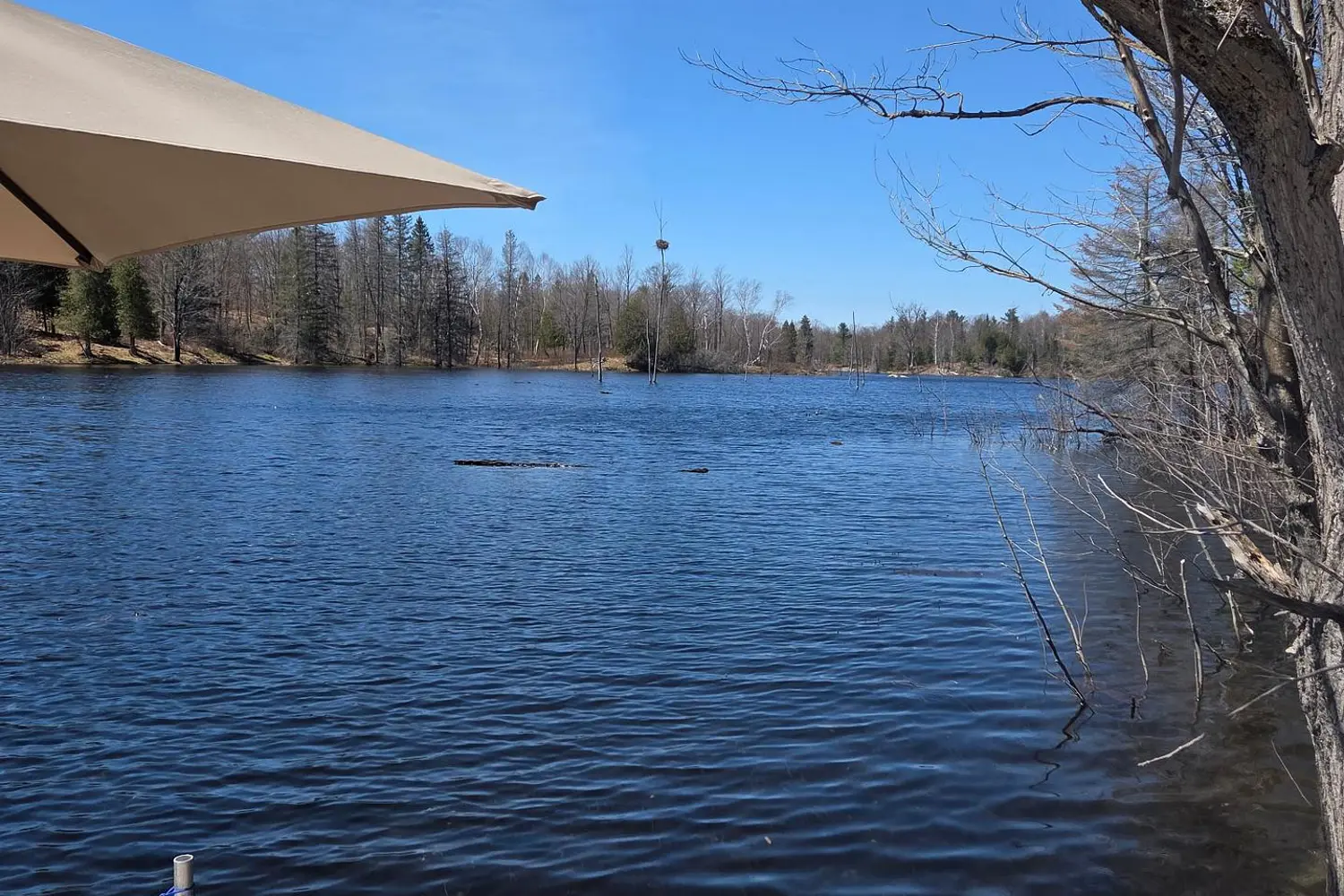 Additional image 10 of 4031 Bolingbroke Road