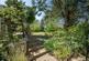 Additional image 38 of Beccles Road, Fritton, Great Yarmouth, Norfolk, NR31