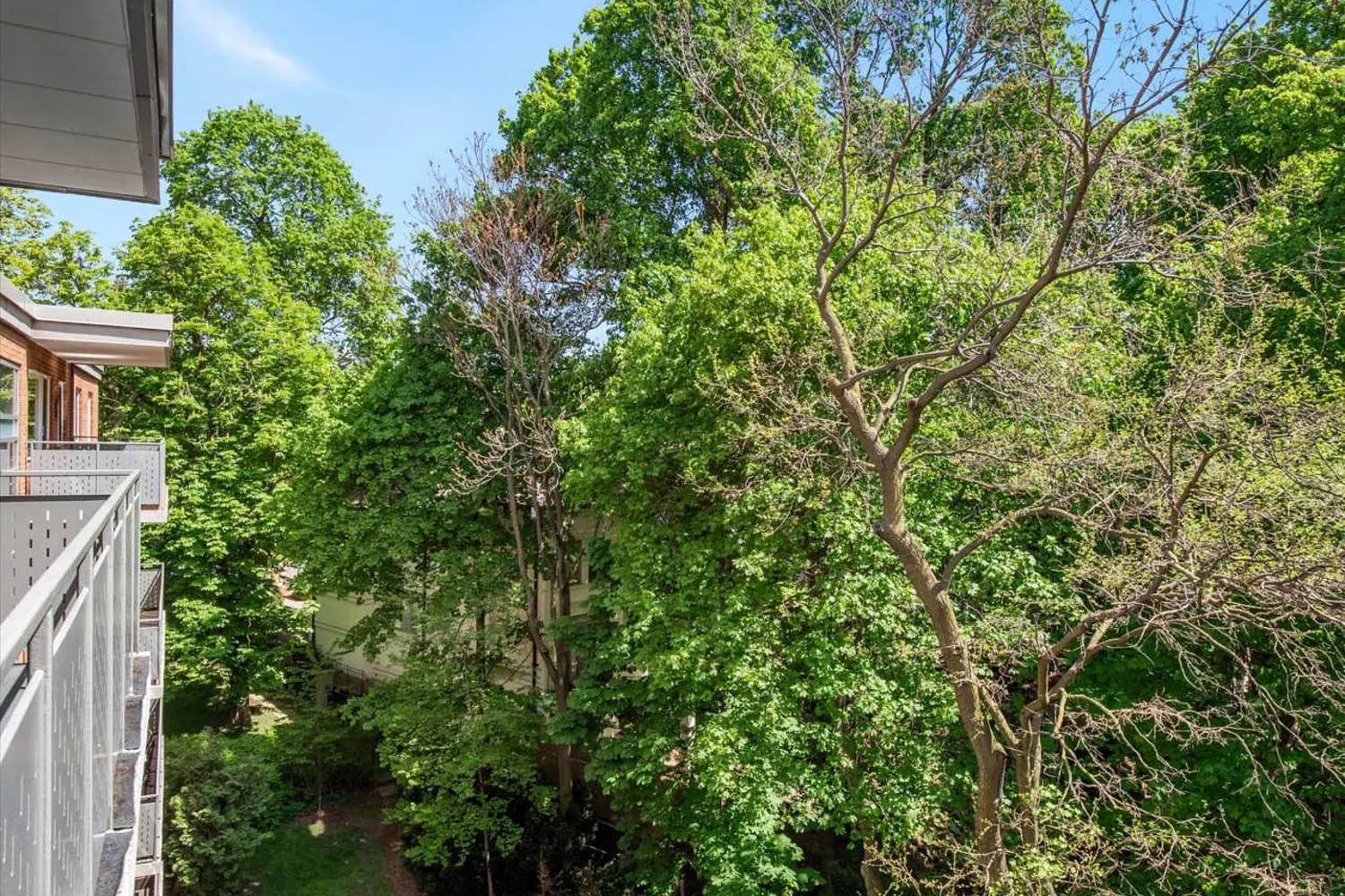 Additional image 14 of 21 Dale Avenue 904