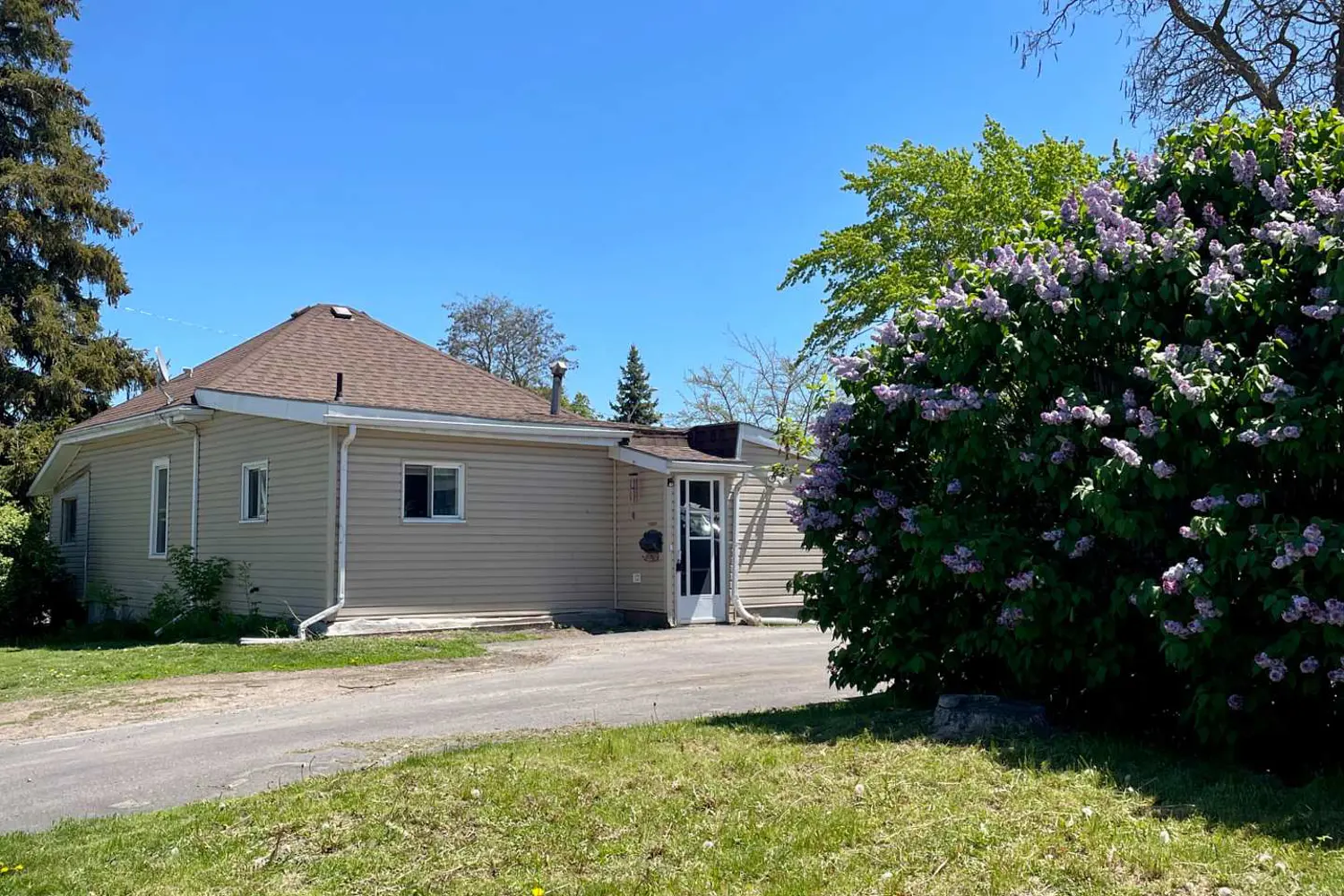 252 Sidney Street photo 4
