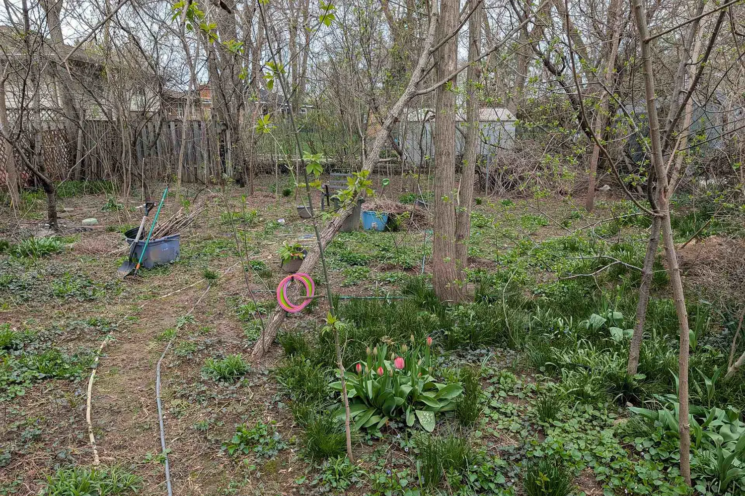 115 King Street photo 2