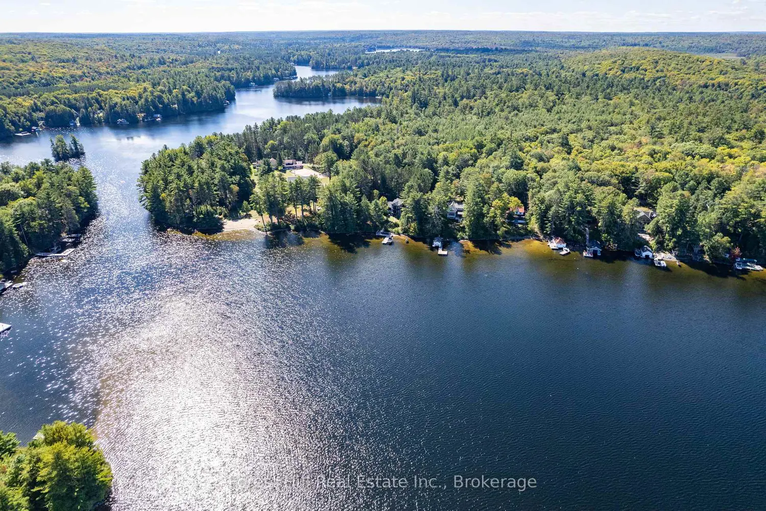 Additional image 4 of 2991 Muskoka Rd 117 Road 2