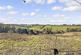 Additional image 17 of Wood Hill, Meopham DA13