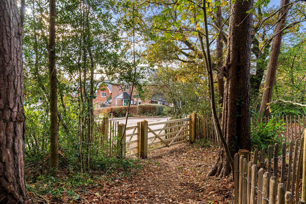 Additional image 23 of 6 bed detached house for saleArkell Lane, Frensham, Farnham GU10