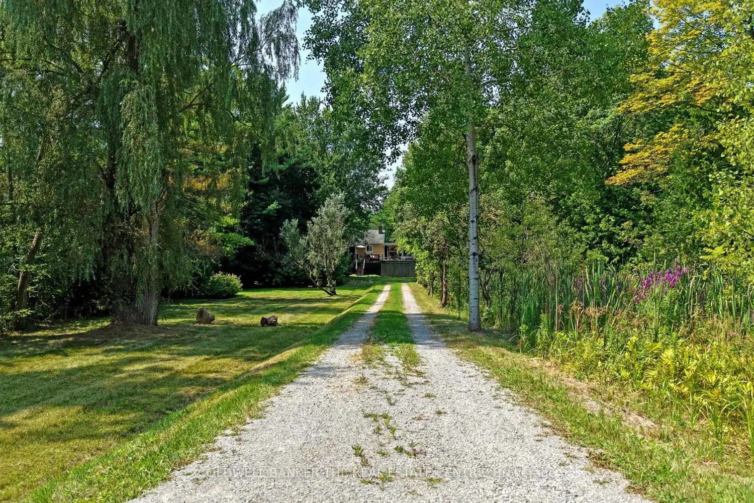 15600 Weston Road photo 3