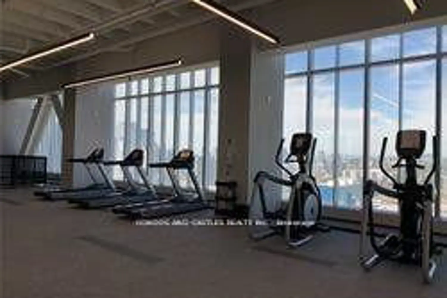 Additional image 9 of 488 University Avenue 2011