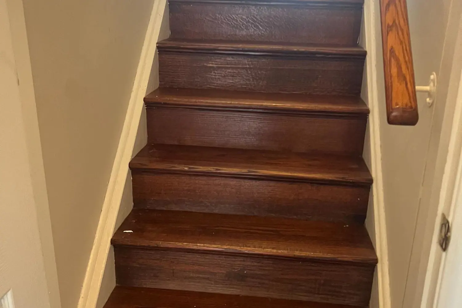 14 Albermarle Court photo 5