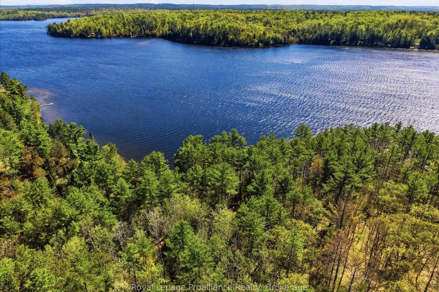 Additional image 17 of 4217 Buckshot Lake Road