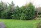 Additional image 13 of Mill Close, Sandwich, Kent, CT13