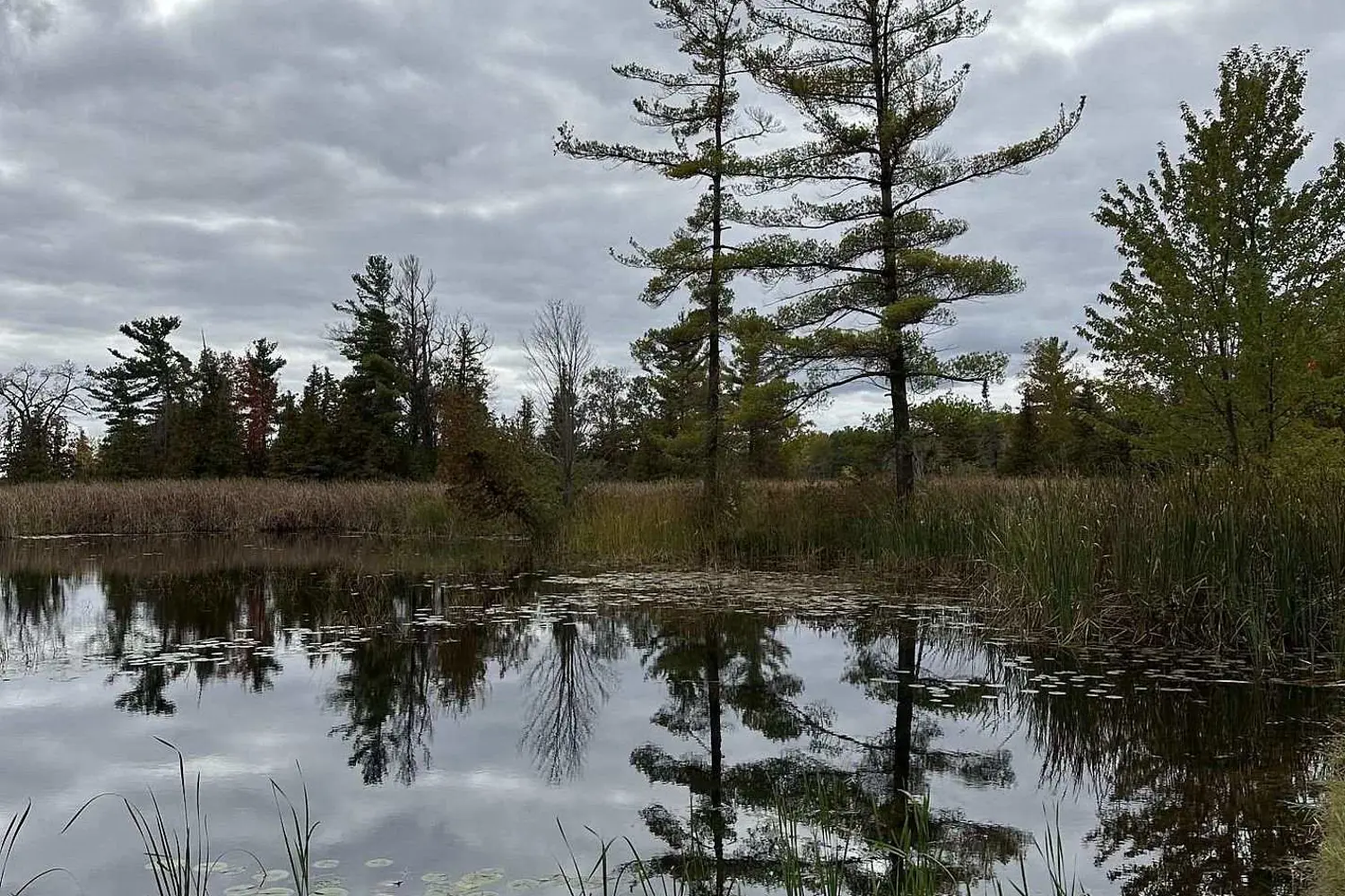 Additional image 7 of 40 Arrow Bay Road Lot 23-20-6